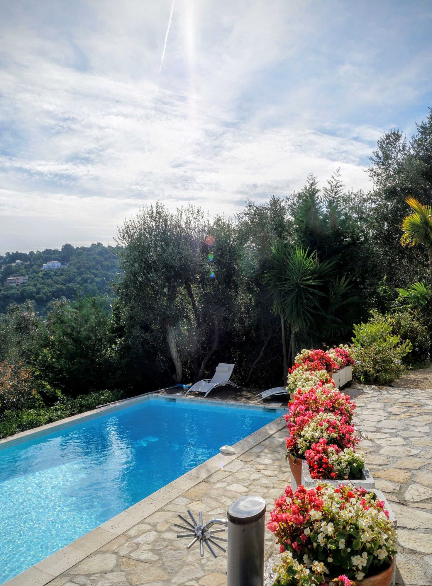 Am Pool, Blumen und Stein